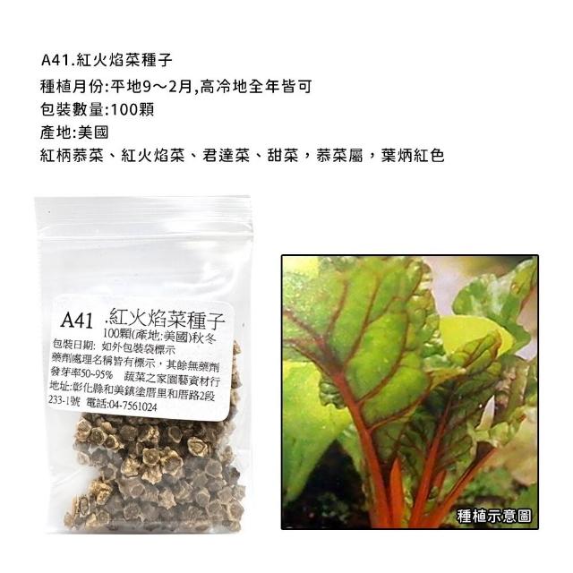 【蔬菜工坊】新手秋冬可栽培短期收成葉菜類種子系列(各包裝數量詳見內文及圖片)