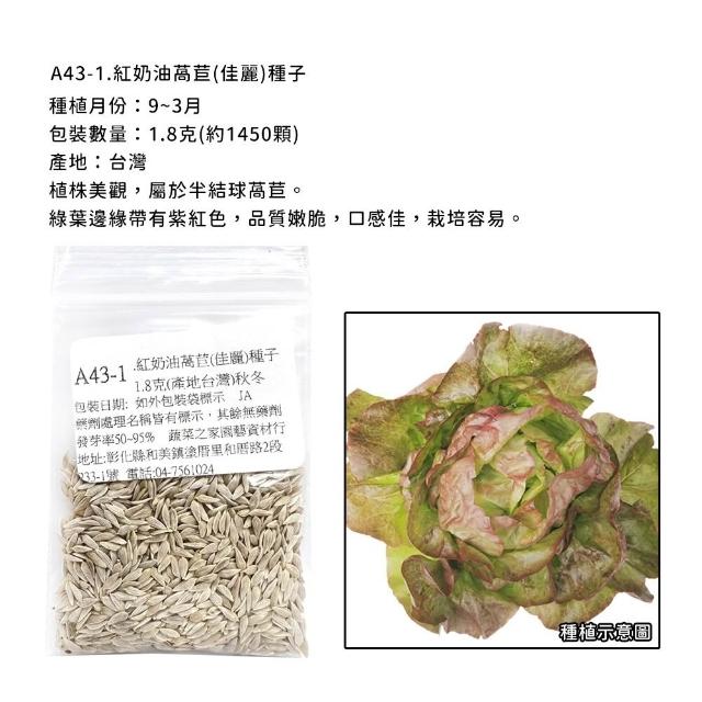 【蔬菜工坊】新手秋冬可栽培短期收成葉菜類種子系列(各包裝數量詳見內文及圖片)