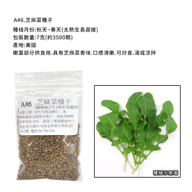 【蔬菜工坊】新手秋冬可栽培短期收成葉菜類種子系列(各包裝數量詳見內文及圖片)