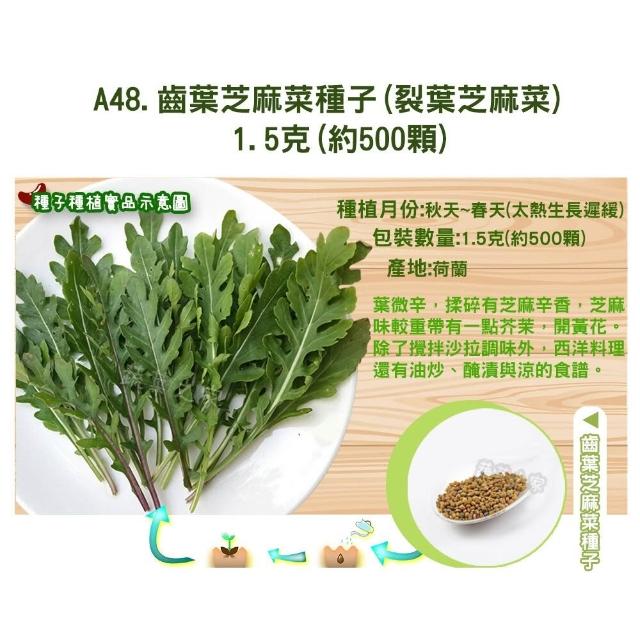 【蔬菜工坊】新手秋冬可栽培短期收成葉菜類種子系列(各包裝數量詳見內文及圖片)