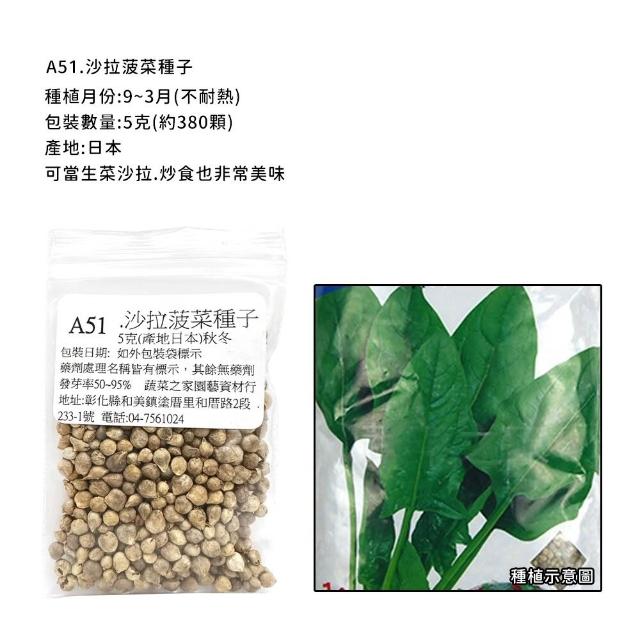 【蔬菜工坊】新手秋冬可栽培短期收成葉菜類種子系列(各包裝數量詳見內文及圖片)