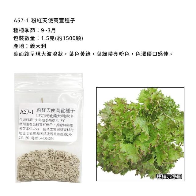 【蔬菜工坊】新手秋冬可栽培短期收成葉菜類種子系列(各包裝數量詳見內文及圖片)