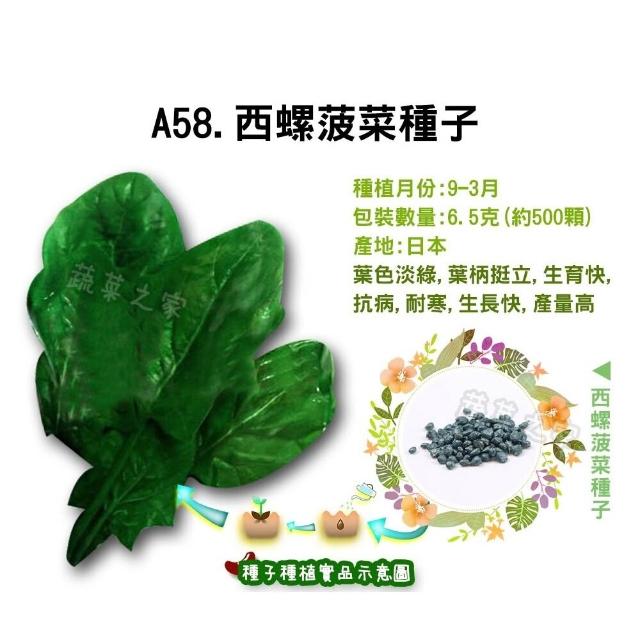 【蔬菜工坊】新手秋冬可栽培短期收成葉菜類種子系列(各包裝數量詳見內文及圖片)