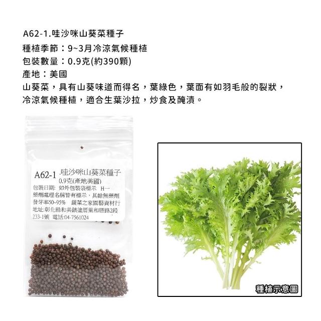 【蔬菜工坊】新手秋冬可栽培短期收成葉菜類種子系列(各包裝數量詳見內文及圖片)
