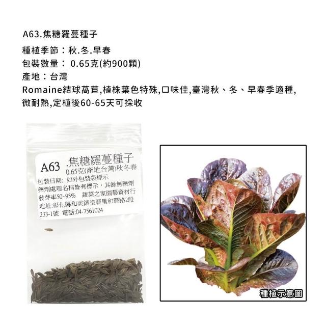 【蔬菜工坊】新手秋冬可栽培短期收成葉菜類種子系列(各包裝數量詳見內文及圖片)
