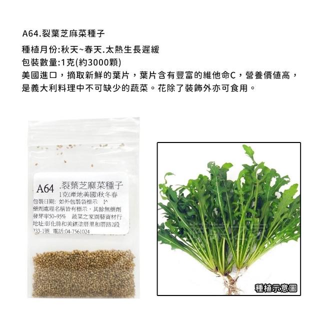 【蔬菜工坊】新手秋冬可栽培短期收成葉菜類種子系列(各包裝數量詳見內文及圖片)