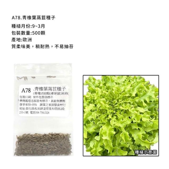 【蔬菜工坊】新手秋冬可栽培短期收成葉菜類種子系列(各包裝數量詳見內文及圖片)