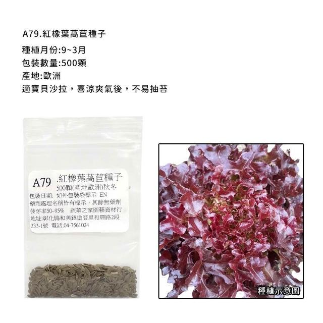 【蔬菜工坊】新手秋冬可栽培短期收成葉菜類種子系列(各包裝數量詳見內文及圖片)