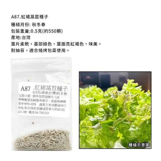【蔬菜工坊】新手秋冬可栽培短期收成葉菜類種子系列(各包裝數量詳見內文及圖片)