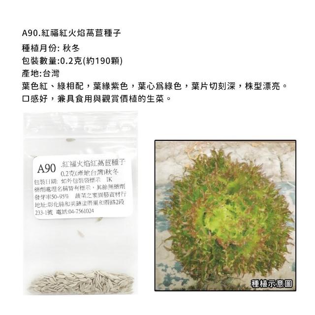 【蔬菜工坊】新手秋冬可栽培短期收成葉菜類種子系列(各包裝數量詳見內文及圖片)