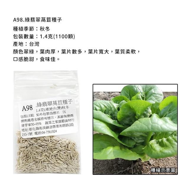【蔬菜工坊】新手秋冬可栽培短期收成葉菜類種子系列(各包裝數量詳見內文及圖片)