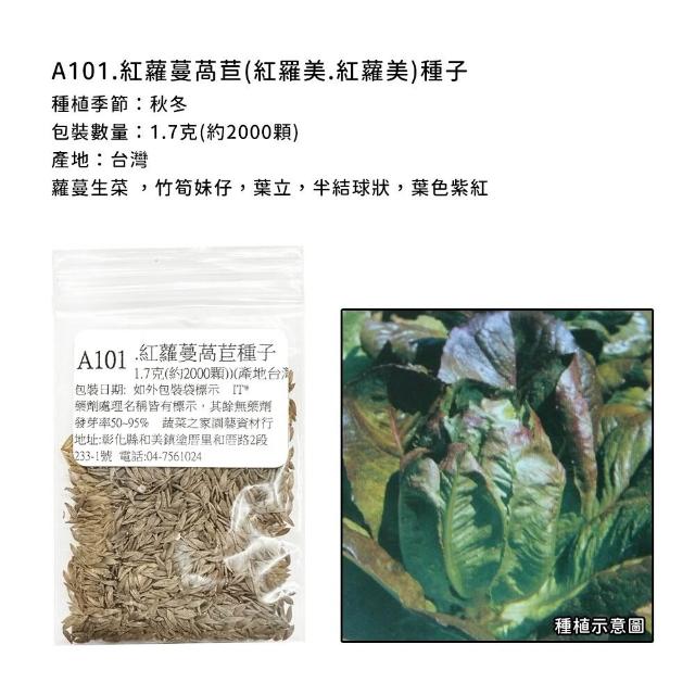 【蔬菜工坊】新手秋冬可栽培短期收成葉菜類種子系列(各包裝數量詳見內文及圖片)