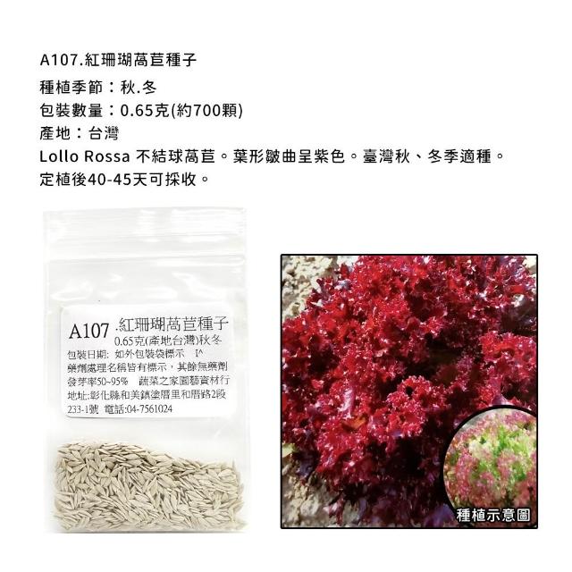 【蔬菜工坊】新手秋冬可栽培短期收成葉菜類種子系列(各包裝數量詳見內文及圖片)