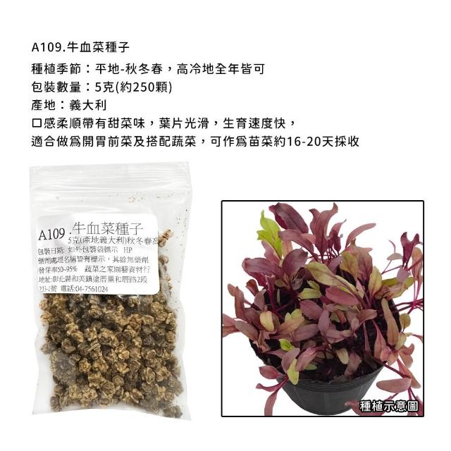 【蔬菜工坊】新手秋冬可栽培短期收成葉菜類種子系列(各包裝數量詳見內文及圖片)