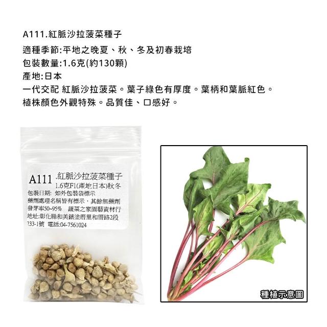【蔬菜工坊】新手秋冬可栽培短期收成葉菜類種子系列(各包裝數量詳見內文及圖片)