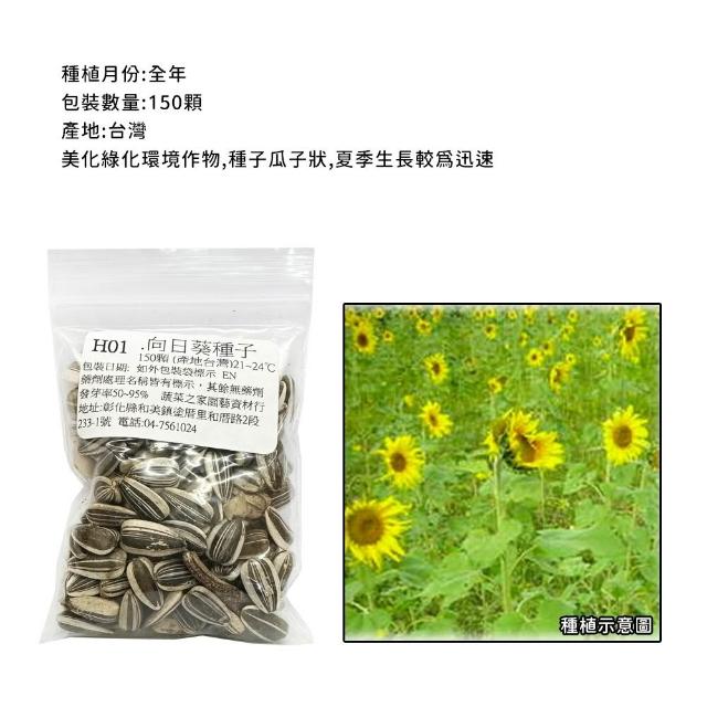 【蔬菜工坊】春秋可栽培花卉種子系列-各包裝數量詳見內文及圖片(蜀葵 雁來紅 鼠尾草 彩葉草 松葉牡丹)