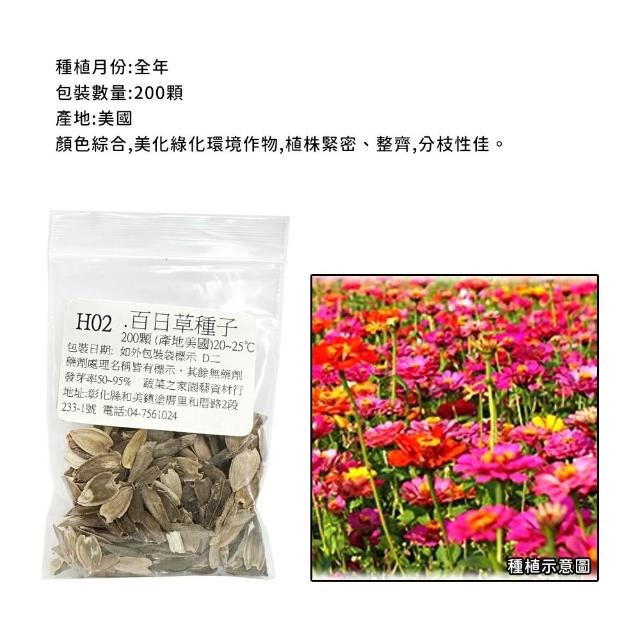 【蔬菜工坊】春秋可栽培花卉種子系列-各包裝數量詳見內文及圖片(蜀葵 雁來紅 鼠尾草 彩葉草 松葉牡丹)