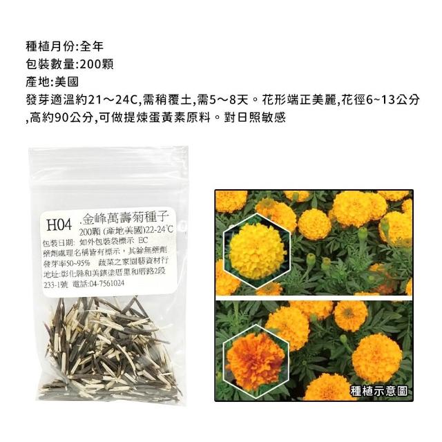 【蔬菜工坊】春秋可栽培花卉種子系列-各包裝數量詳見內文及圖片(蜀葵 雁來紅 鼠尾草 彩葉草 松葉牡丹)