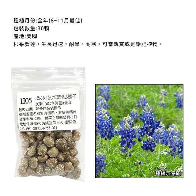 【蔬菜工坊】春秋可栽培花卉種子系列-各包裝數量詳見內文及圖片(蜀葵 雁來紅 鼠尾草 彩葉草 松葉牡丹)