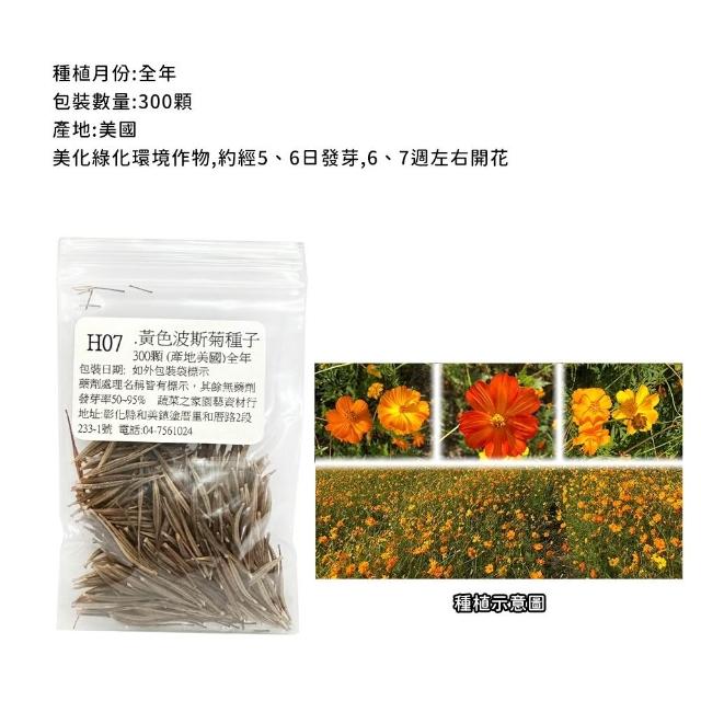 【蔬菜工坊】春秋可栽培花卉種子系列-各包裝數量詳見內文及圖片(蜀葵 雁來紅 鼠尾草 彩葉草 松葉牡丹)