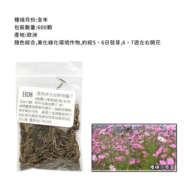 【蔬菜工坊】春秋可栽培花卉種子系列-各包裝數量詳見內文及圖片(蜀葵 雁來紅 鼠尾草 彩葉草 松葉牡丹)