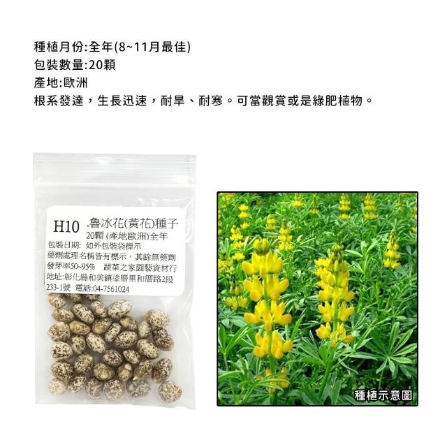 【蔬菜工坊】春秋可栽培花卉種子系列-各包裝數量詳見內文及圖片(蜀葵 雁來紅 鼠尾草 彩葉草 松葉牡丹)