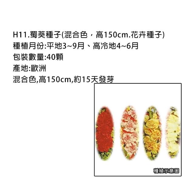 【蔬菜工坊】春秋可栽培花卉種子系列-各包裝數量詳見內文及圖片(蜀葵 雁來紅 鼠尾草 彩葉草 松葉牡丹)