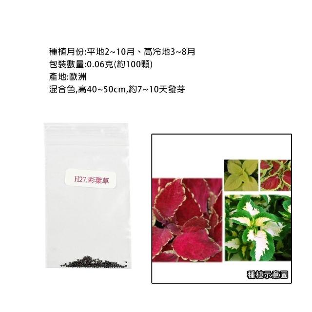 【蔬菜工坊】春秋可栽培花卉種子系列-各包裝數量詳見內文及圖片(蜀葵 雁來紅 鼠尾草 彩葉草 松葉牡丹)