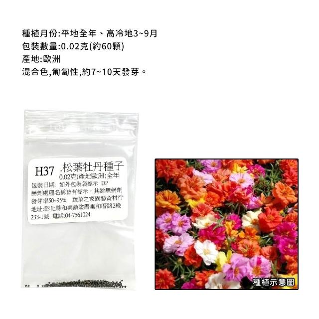【蔬菜工坊】春秋可栽培花卉種子系列-各包裝數量詳見內文及圖片(蜀葵 雁來紅 鼠尾草 彩葉草 松葉牡丹)