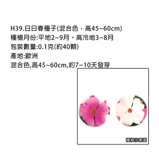 【蔬菜工坊】春秋可栽培花卉種子系列-各包裝數量詳見內文及圖片(蜀葵 雁來紅 鼠尾草 彩葉草 松葉牡丹)