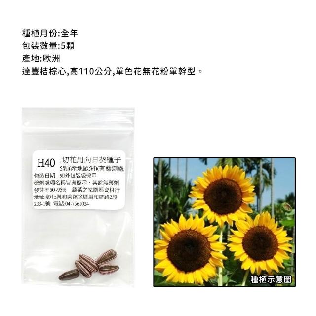 【蔬菜工坊】春秋可栽培花卉種子系列-各包裝數量詳見內文及圖片(蜀葵 雁來紅 鼠尾草 彩葉草 松葉牡丹)