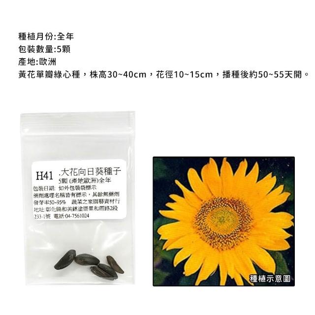 【蔬菜工坊】春秋可栽培花卉種子系列-各包裝數量詳見內文及圖片(蜀葵 雁來紅 鼠尾草 彩葉草 松葉牡丹)