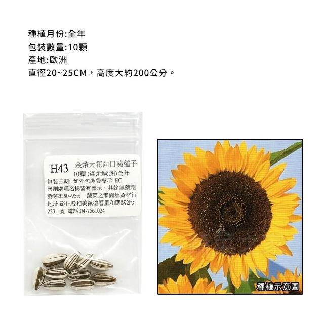 【蔬菜工坊】春秋可栽培花卉種子系列-各包裝數量詳見內文及圖片(蜀葵 雁來紅 鼠尾草 彩葉草 松葉牡丹)