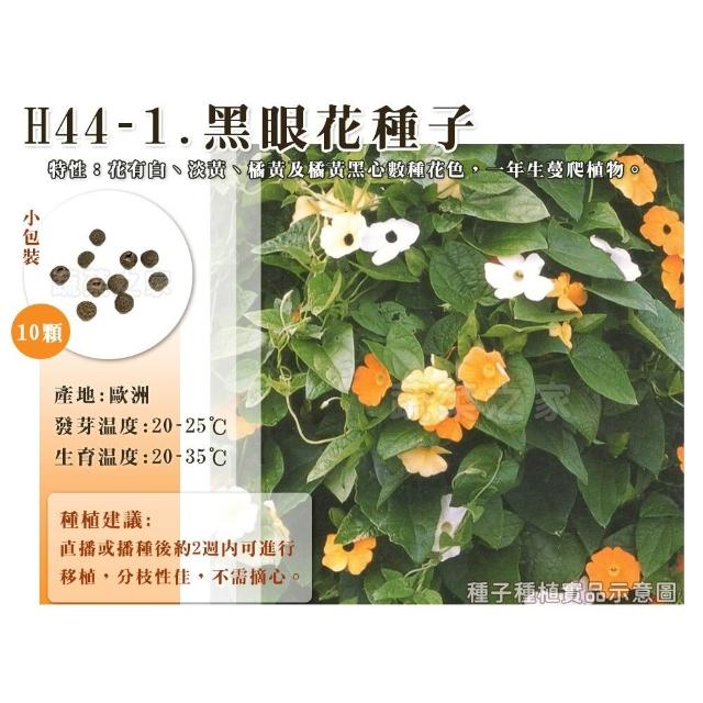 【蔬菜工坊】春秋可栽培花卉種子系列-各包裝數量詳見內文及圖片(蜀葵 雁來紅 鼠尾草 彩葉草 松葉牡丹)