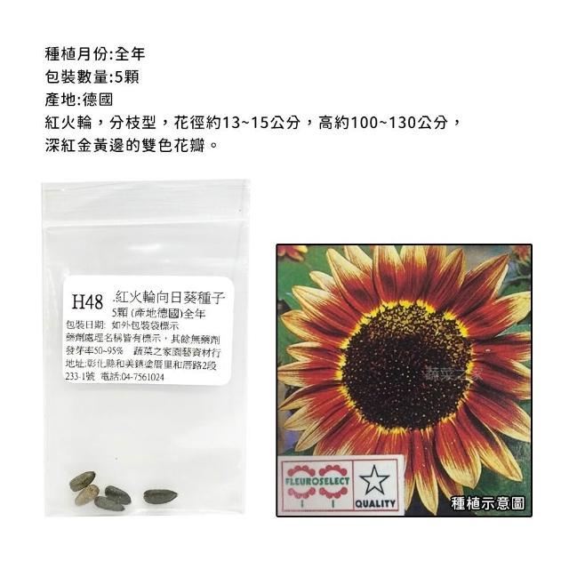 【蔬菜工坊】春秋可栽培花卉種子系列-各包裝數量詳見內文及圖片(蜀葵 雁來紅 鼠尾草 彩葉草 松葉牡丹)