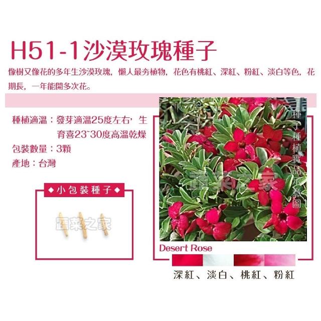 【蔬菜工坊】春秋可栽培花卉種子系列-各包裝數量詳見內文及圖片(蜀葵 雁來紅 鼠尾草 彩葉草 松葉牡丹)