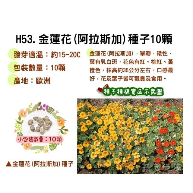 【蔬菜工坊】春秋可栽培花卉種子系列-各包裝數量詳見內文及圖片(蜀葵 雁來紅 鼠尾草 彩葉草 松葉牡丹)