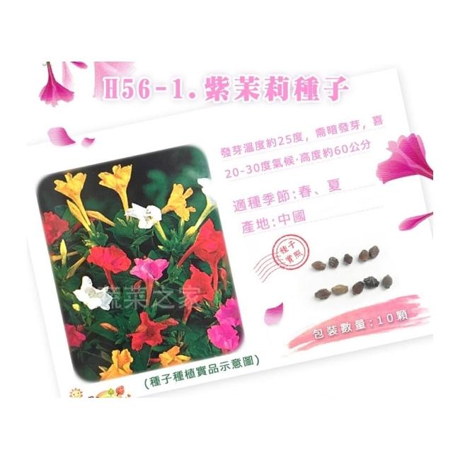 【蔬菜工坊】春秋可栽培花卉種子系列-各包裝數量詳見內文及圖片(蜀葵 雁來紅 鼠尾草 彩葉草 松葉牡丹)