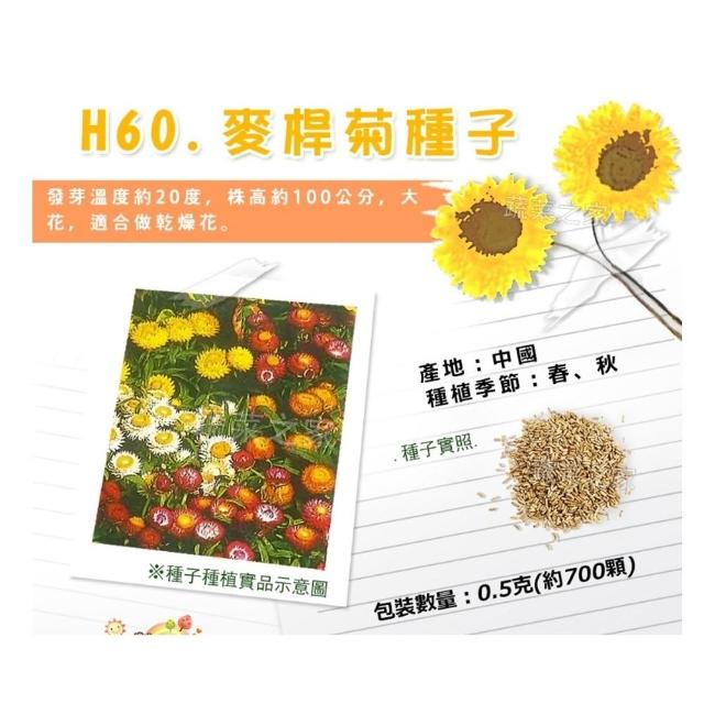【蔬菜工坊】春秋可栽培花卉種子系列-各包裝數量詳見內文及圖片(蜀葵 雁來紅 鼠尾草 彩葉草 松葉牡丹)