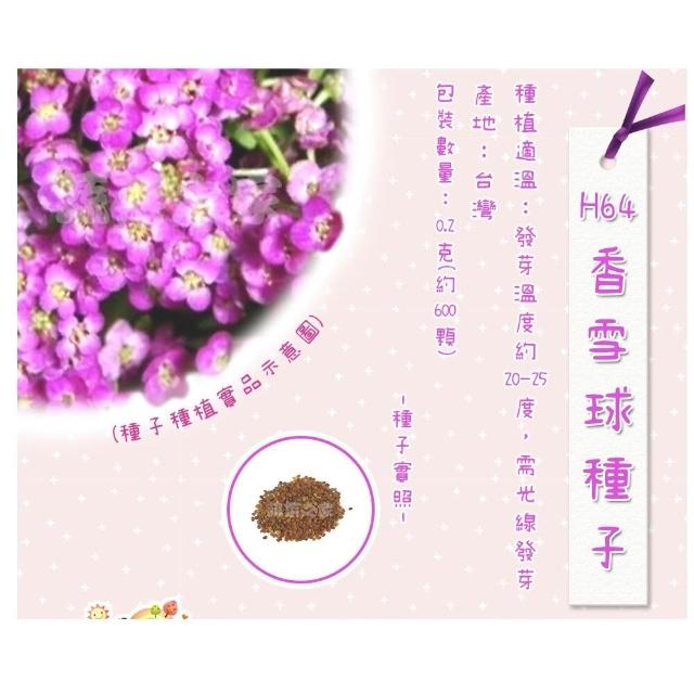 【蔬菜工坊】春秋可栽培花卉種子系列-各包裝數量詳見內文及圖片(蜀葵 雁來紅 鼠尾草 彩葉草 松葉牡丹)