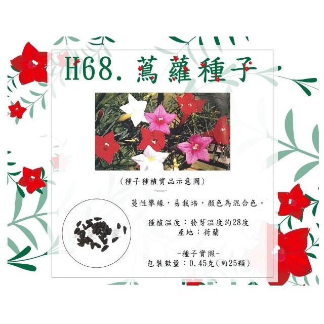 【蔬菜工坊】春秋可栽培花卉種子系列-各包裝數量詳見內文及圖片(蜀葵 雁來紅 鼠尾草 彩葉草 松葉牡丹)