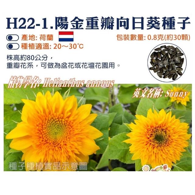 【蔬菜工坊】全年及夏季可栽培花卉種子系列-各包裝數量詳見內文(向日葵 百日草 萬壽菊 雞冠花 大理花)