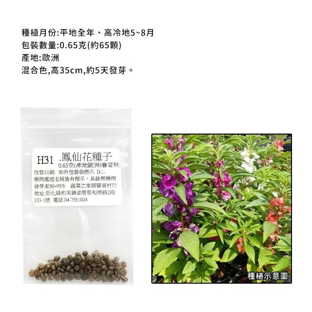 【蔬菜工坊】全年及夏季可栽培花卉種子系列-各包裝數量詳見內文(向日葵 百日草 萬壽菊 雞冠花 大理花)