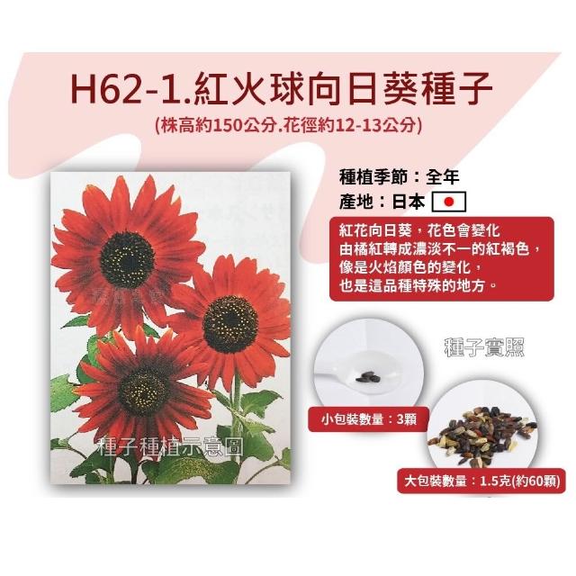 【蔬菜工坊】全年及夏季可栽培花卉種子系列-各包裝數量詳見內文(向日葵 百日草 萬壽菊 雞冠花 大理花)