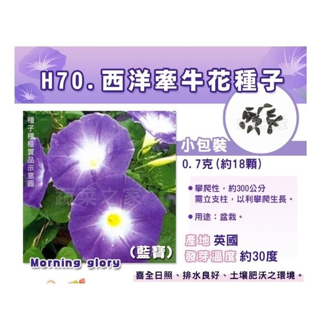 【蔬菜工坊】全年及夏季可栽培花卉種子系列-各包裝數量詳見內文(向日葵 百日草 萬壽菊 雞冠花 大理花)