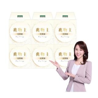 【iVENOR】兆物主元氣錠6盒(30錠/盒 母乳級NMN 養顏美容)