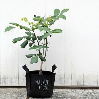 【Root Pouch】美植袋(W40cm H30cm/39L)