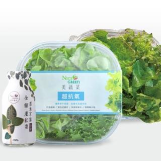 【NICE GREEn 美蔬菜】美蔬菜X2金線連紅棗黑木耳露X2送沙拉醬X2(生菜 黑木耳露 養生飲品 代餐 蔬菜 黑木耳)