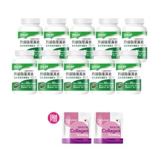 【健康優見】高單位升級版葉黃素軟膠囊x10瓶(30粒/瓶)+贈純本萃膠原蛋白粉x2包(70g)-永信監製