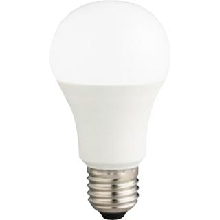 【Everlight 億光】10入組 LED燈泡 13W E27 無藍光危害(球泡燈 LED燈泡)